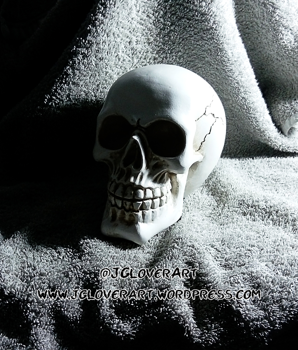 Skull Reference anatomy drawing figure study still life photography lighting chiaroscuro model