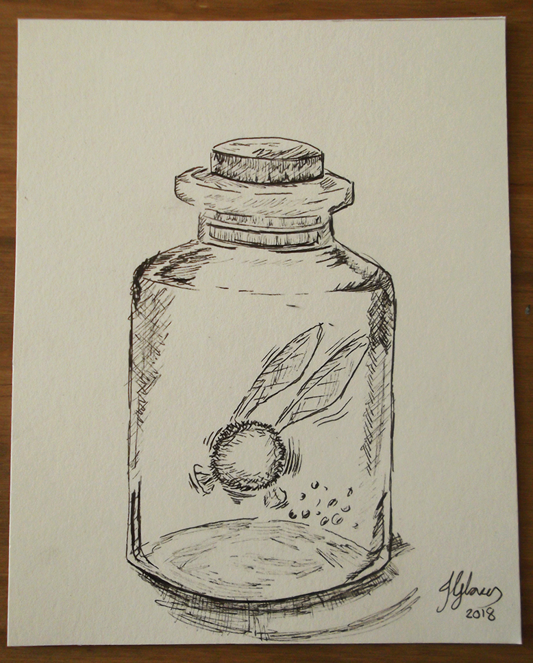Fairy Jar - linktober inktober ink drawing illustration legend of zelda ocarina of time art fantasy jglover