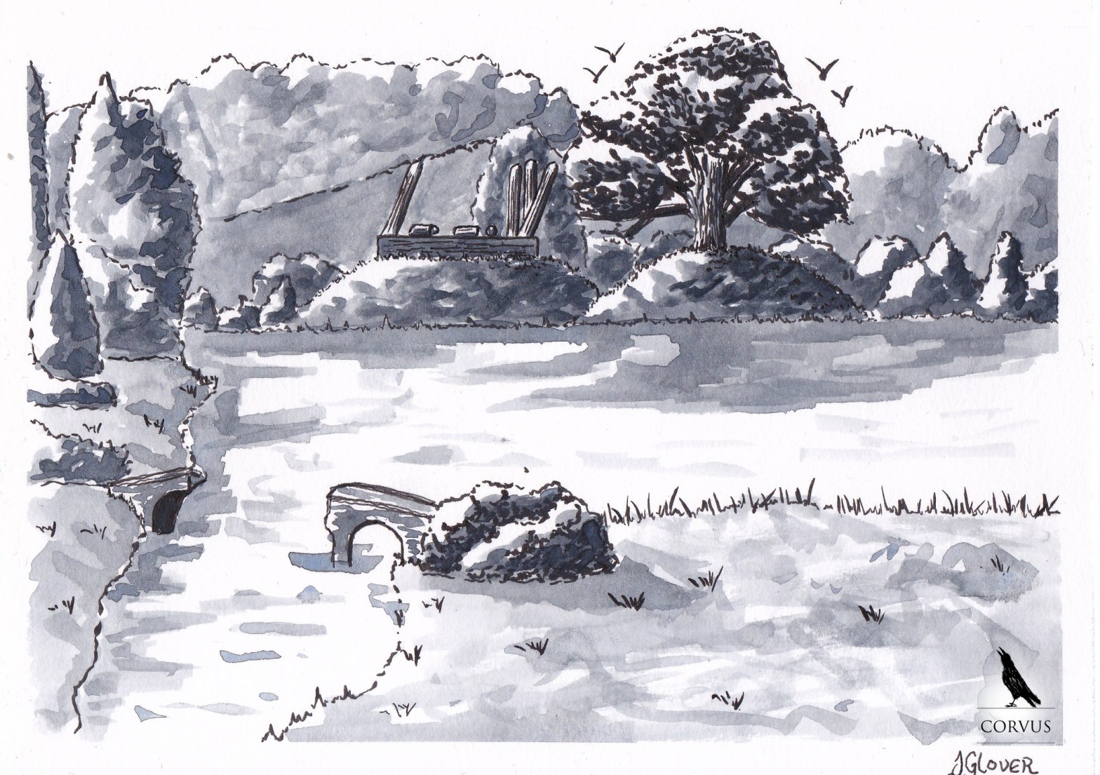 corvus - graphic novel - fantasy - art - story - illustration - raven - ravens - crows - storytelling