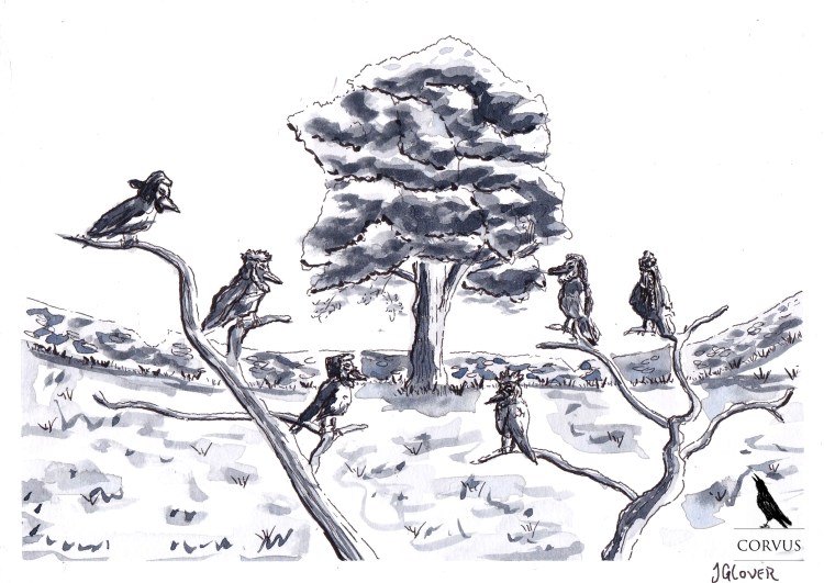 Corvus - Art - Illustration - Fantasy - Graphic Novel - Webcomic - Drawing - Inktober - Raven - Crow - Story