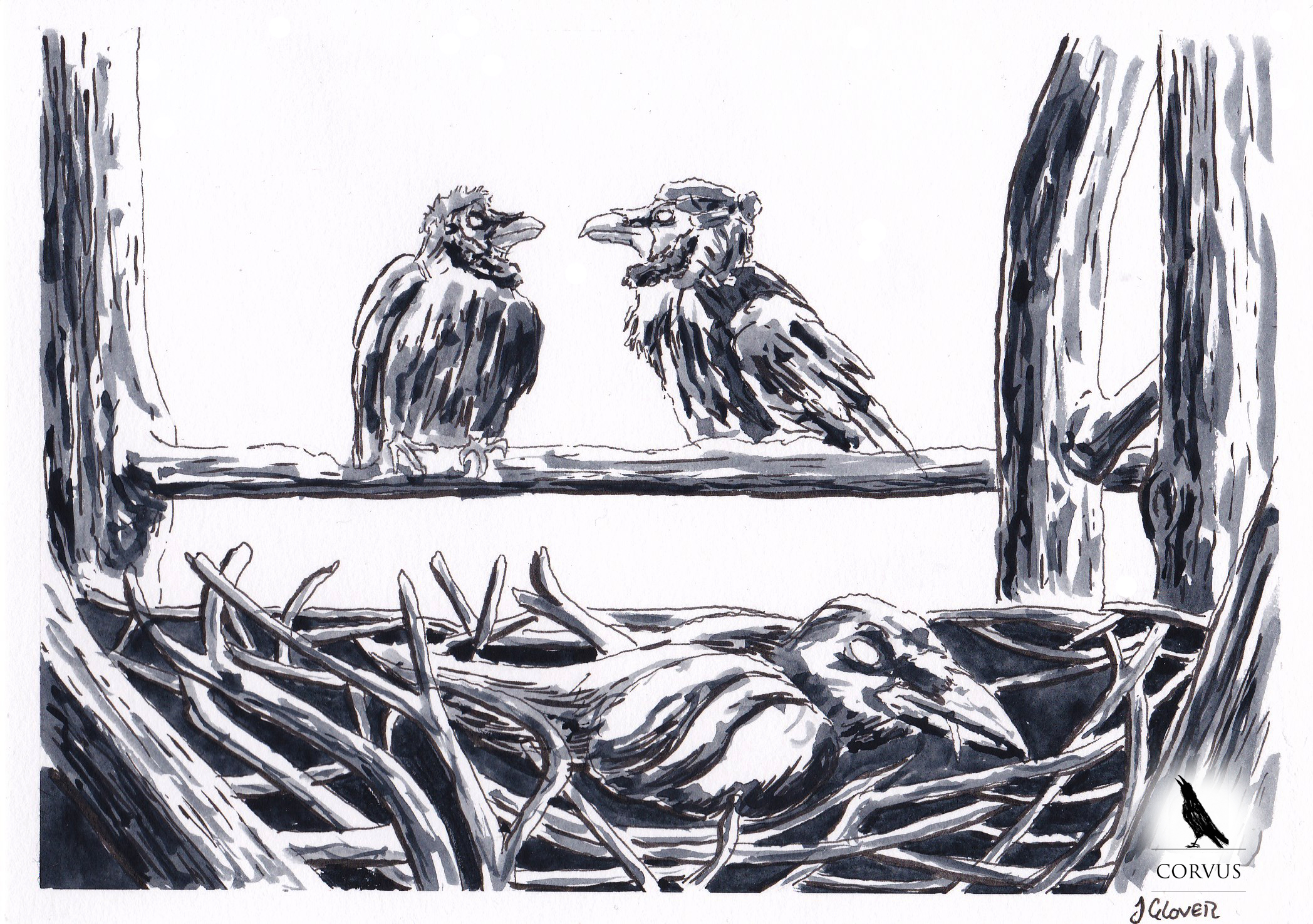 corvus - fantasy - graphic novel - art - illustration - story - crows - raven - ravens - webcomic