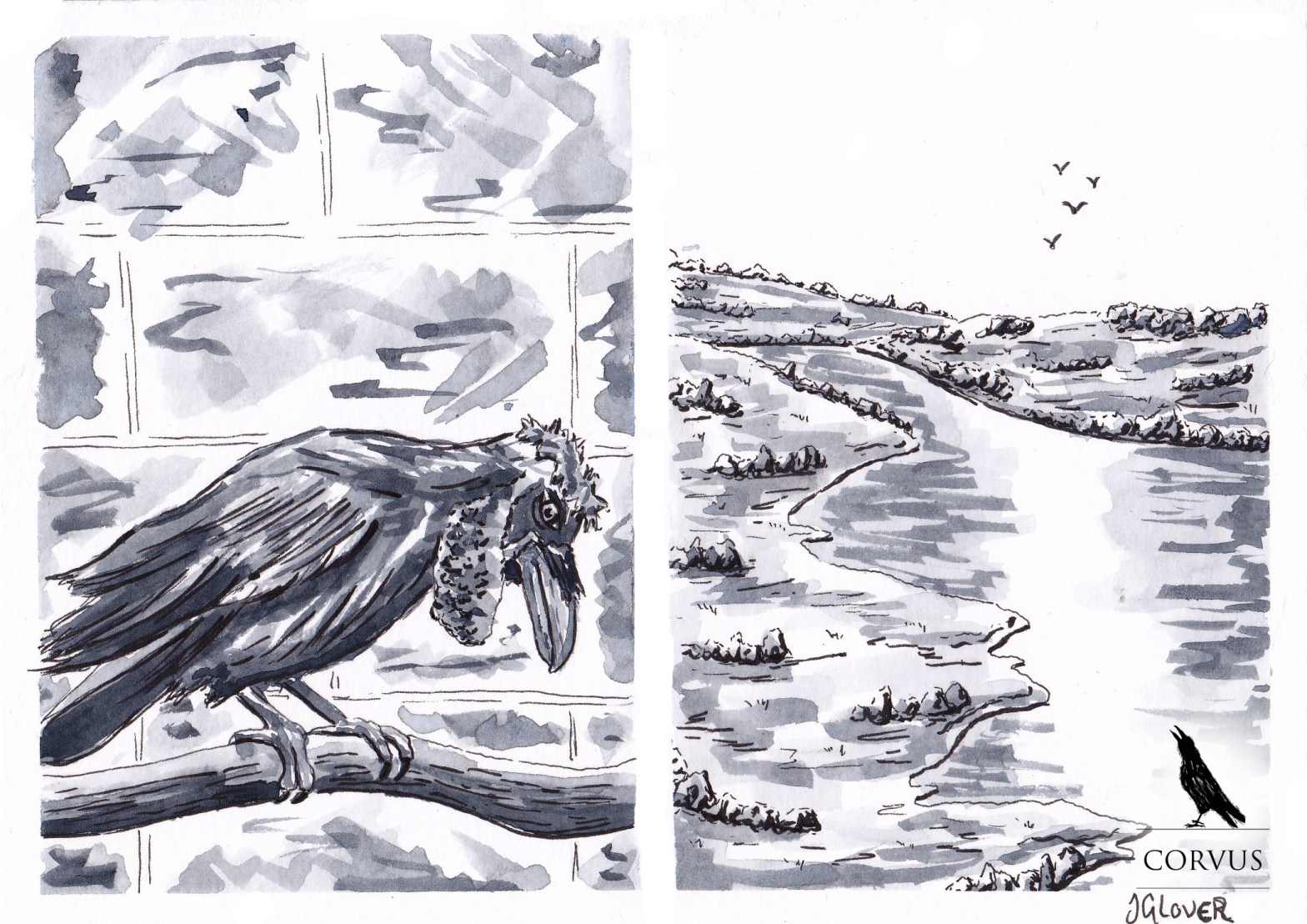 Corvus - graphic novel - web comic - illustration - art - ink - drawing - inktober - ravens - crows