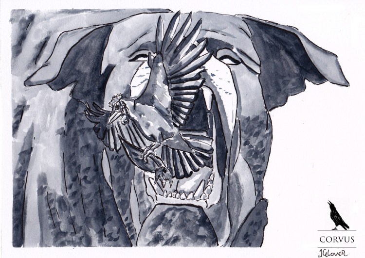 Corvus - Art - Illustration - Graphic Novel - Web Comic - Raven - Viking - Dog - Folklore