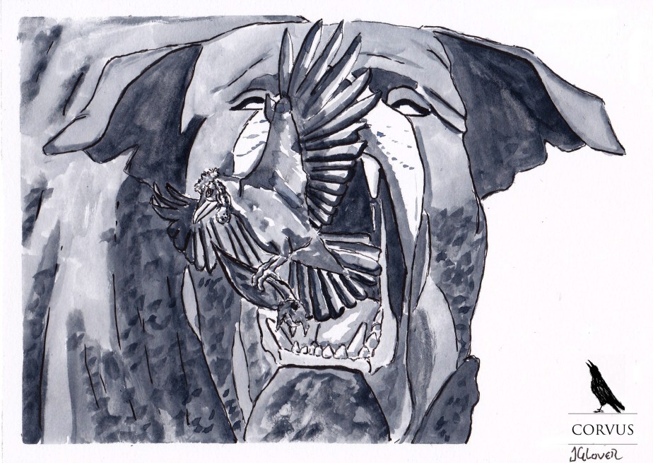 Corvus - Art - Illustration - Graphic Novel - Web Comic - Raven - Viking - Dog - Folklore