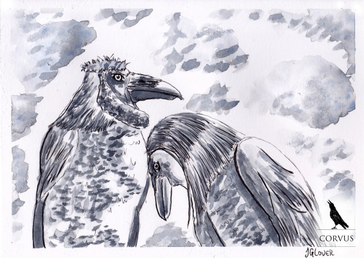 Corvus - Graphic Novel - Art - Illustration - Folklore - Fiction - Story - Fantasy - Drawing