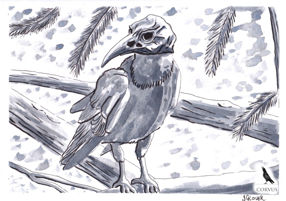 Corvus - Art - Illustration - Graphic Novel - Fantasy - Story - Drawing - Web Comic - Folklore