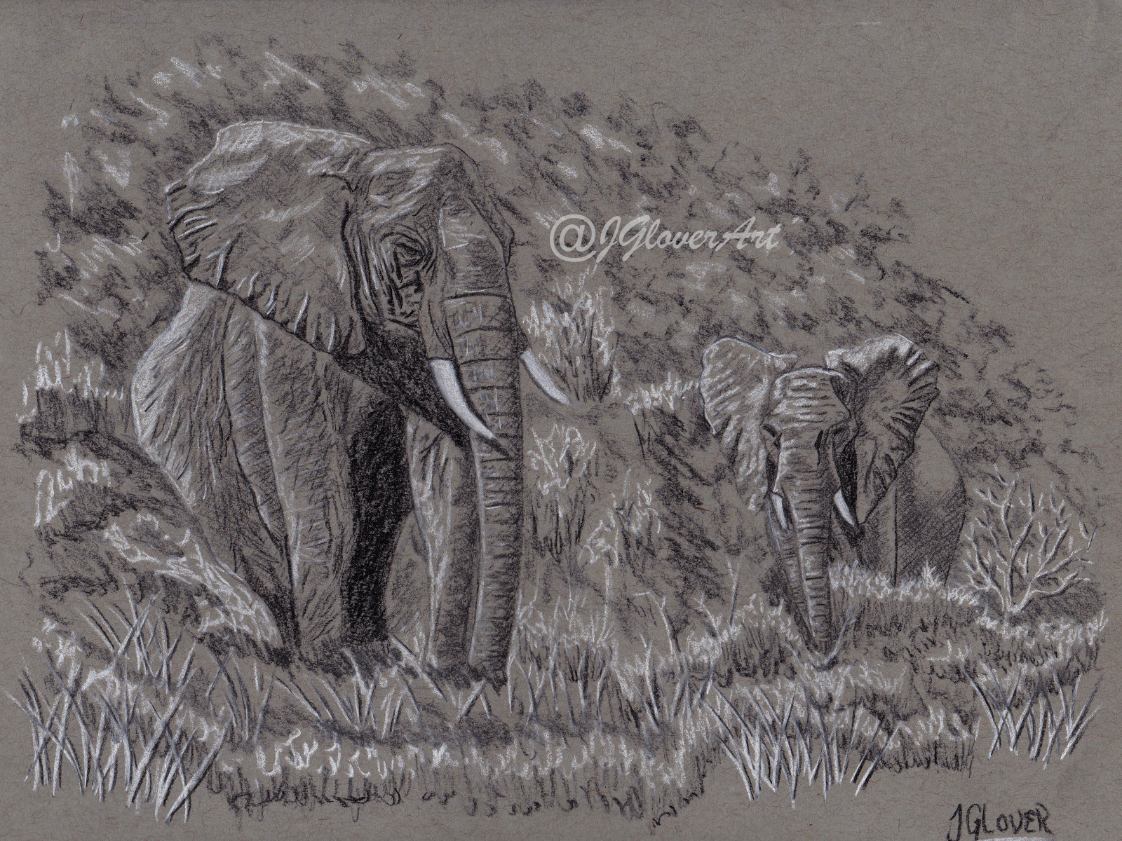 elephant - elephants - wildlife - art - drawing - illustration - landscape - african - africa - animal