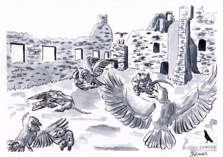 corvus graphic novel ink drawing art illustration graphic novel folk lore history