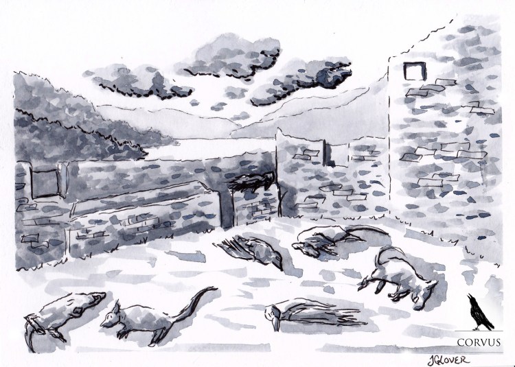 Corvus - Graphic Novel - Drawing - Illustration - Folkore - Art - Story