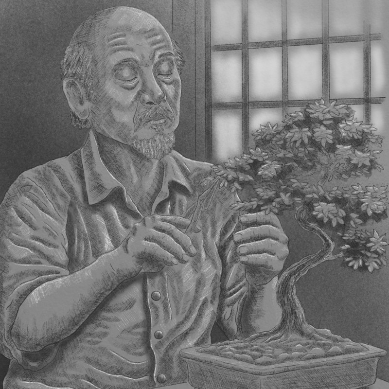 Growth Comes from Strong Roots – Mr Miyagi – The Karate Kid&nbsp;Illustration