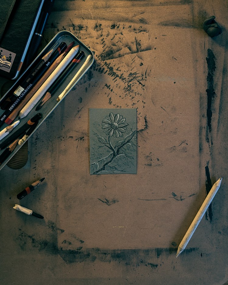 Original ACEO hand-drawn art card - Fantasy art flower growing through cracks in concrete